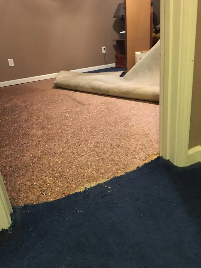 Carpet pad removal revealing water damage during Water Mitigation Services in Grandville