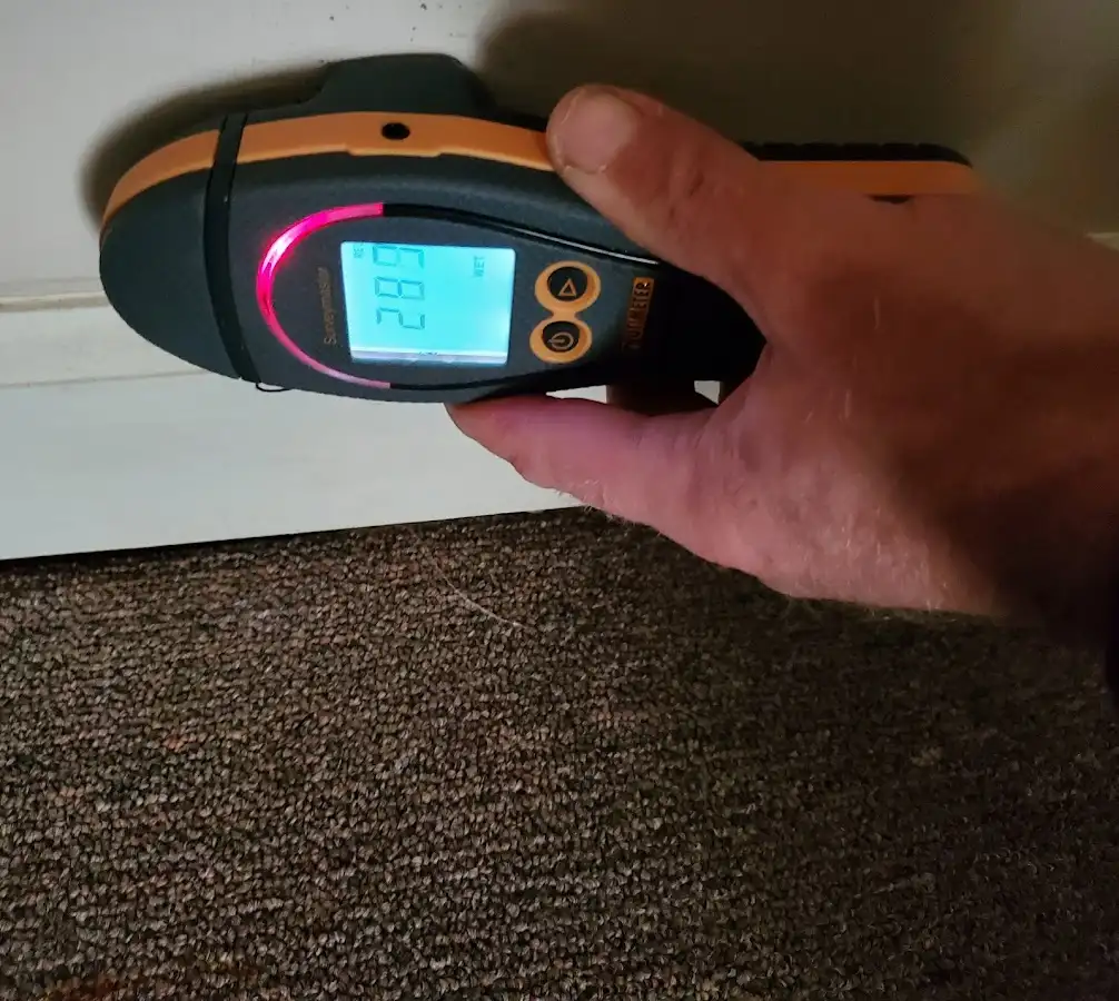 Moisture detection at baseboard during Sewage Cleanup & Sanitation in Grandville