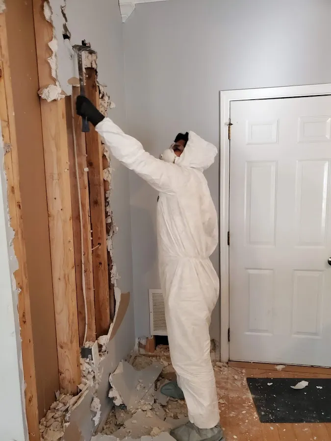Mold Remediation & Removal in Grandville, MI